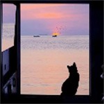 夢(mèng)里水鄉(xiāng)