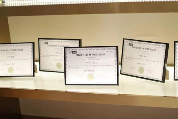 南京美萊醫(yī)療美容醫(yī)院榮譽(yù)